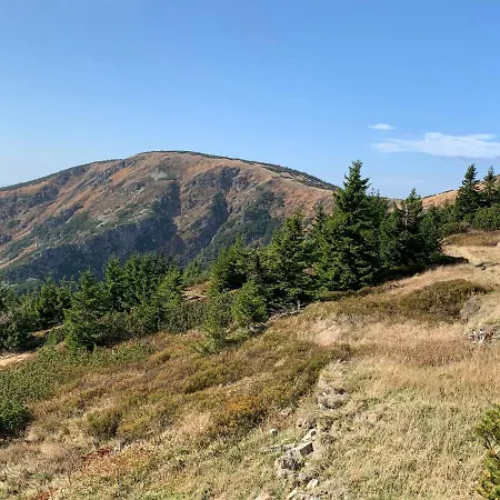 Σπίτι διακοπών Mezi Kopci - Mid Hills House - Dum S Vyhledem Na Sjezdovky Βιτκόβιτσε